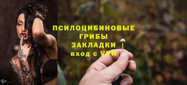 амф Белокуриха