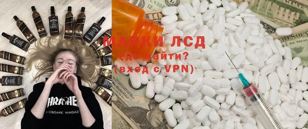 ECSTASY Бородино