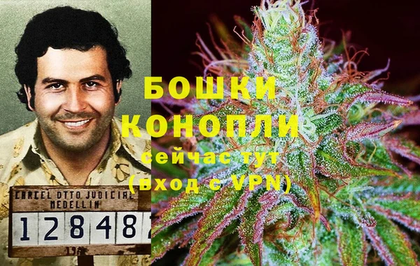 гидропоника Белоозёрский