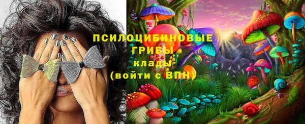 амф Белокуриха