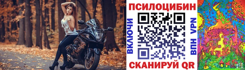 Псилоцибиновые грибы Psilocybe  Купить где  Вятские Поляны 